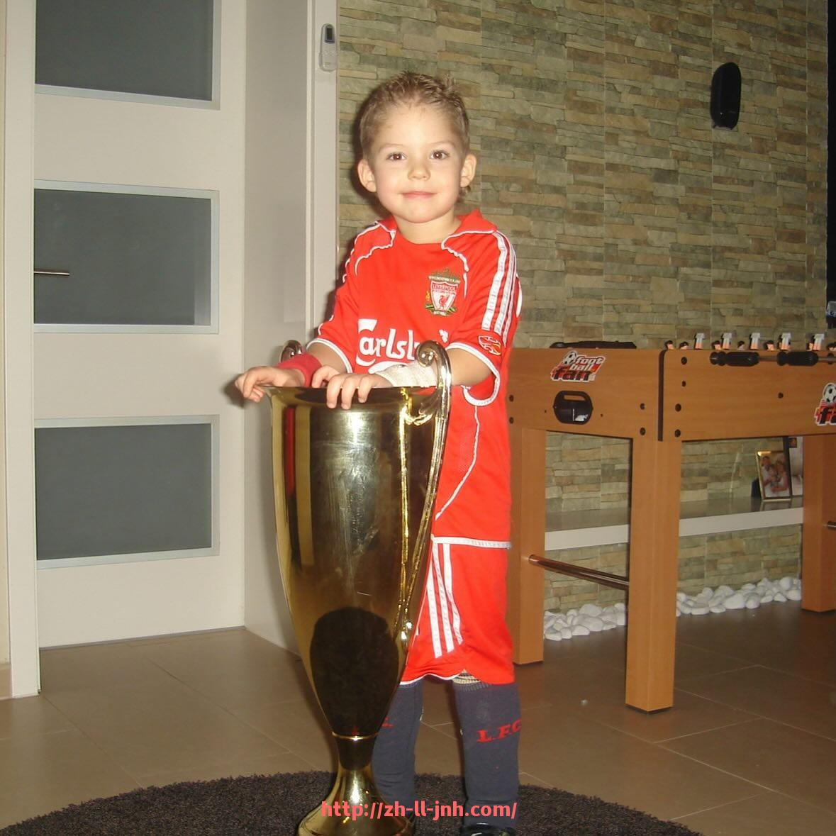 金年会-上海热门室内健身器材品牌及市场分析