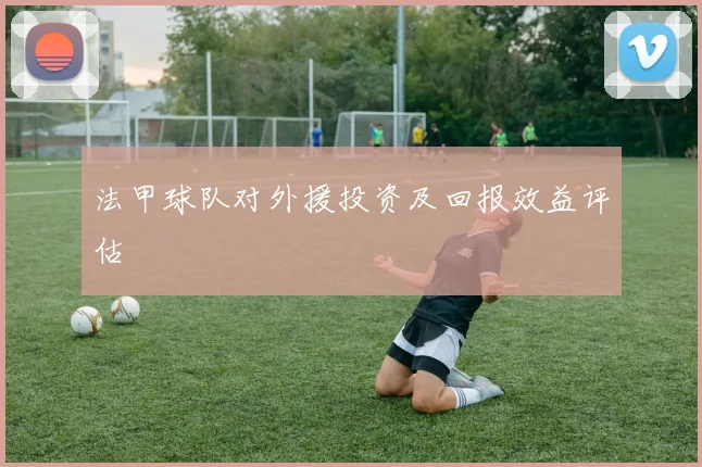 法甲球队对外援投资及回报效益评估