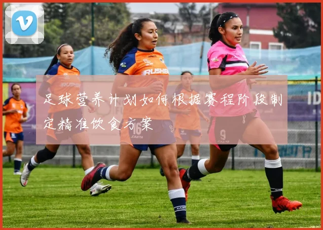足球营养计划如何根据赛程阶段制定精准饮食方案