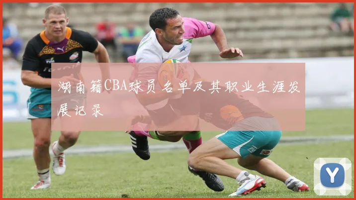 湖南籍CBA球员名单及其职业生涯发展记录