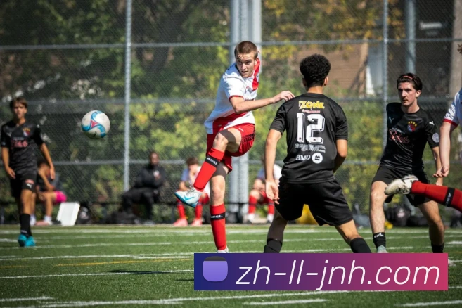 金年会体育服务体系